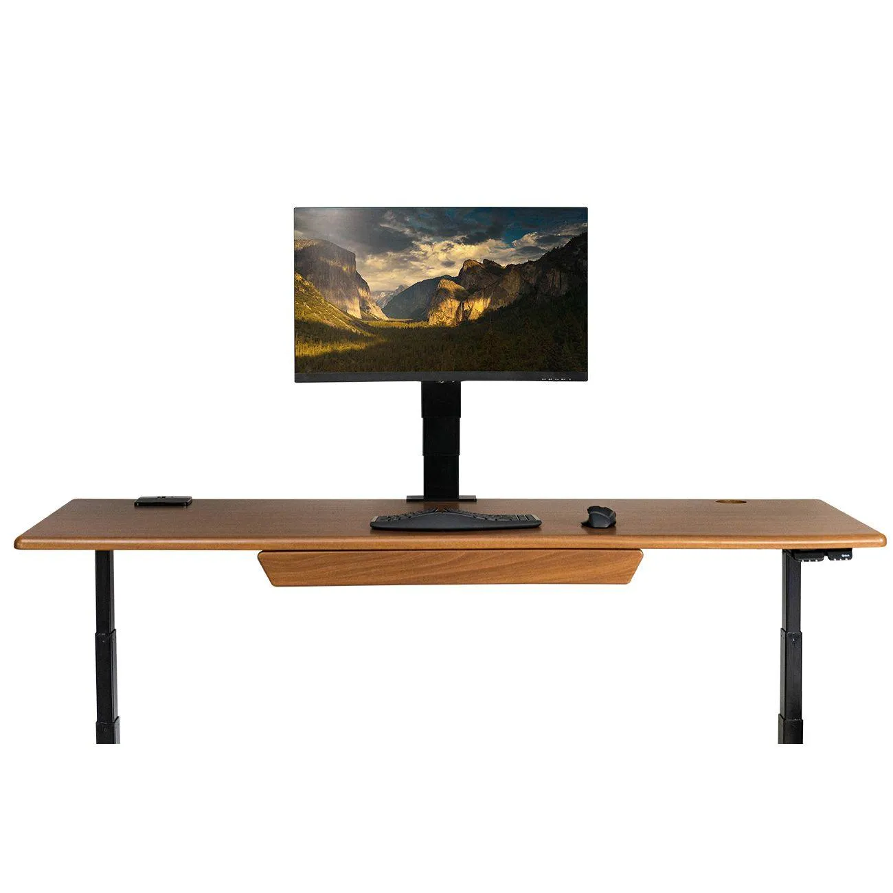 EMMA Electric Single Monitor Arm