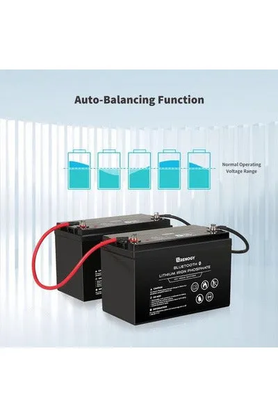 Renogy 12V 100Ah Lithium Iron Phosphate Battery with Bluetooth