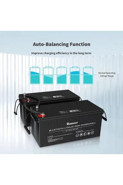 Renogy 12V 200Ah Lithium Iron Phosphate Battery with Bluetooth